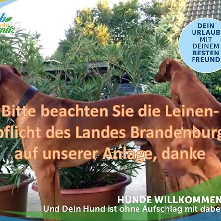 Jagd-Angler-Suite-03-Im-Wald-Am-See Kyritz Buitenkant foto
