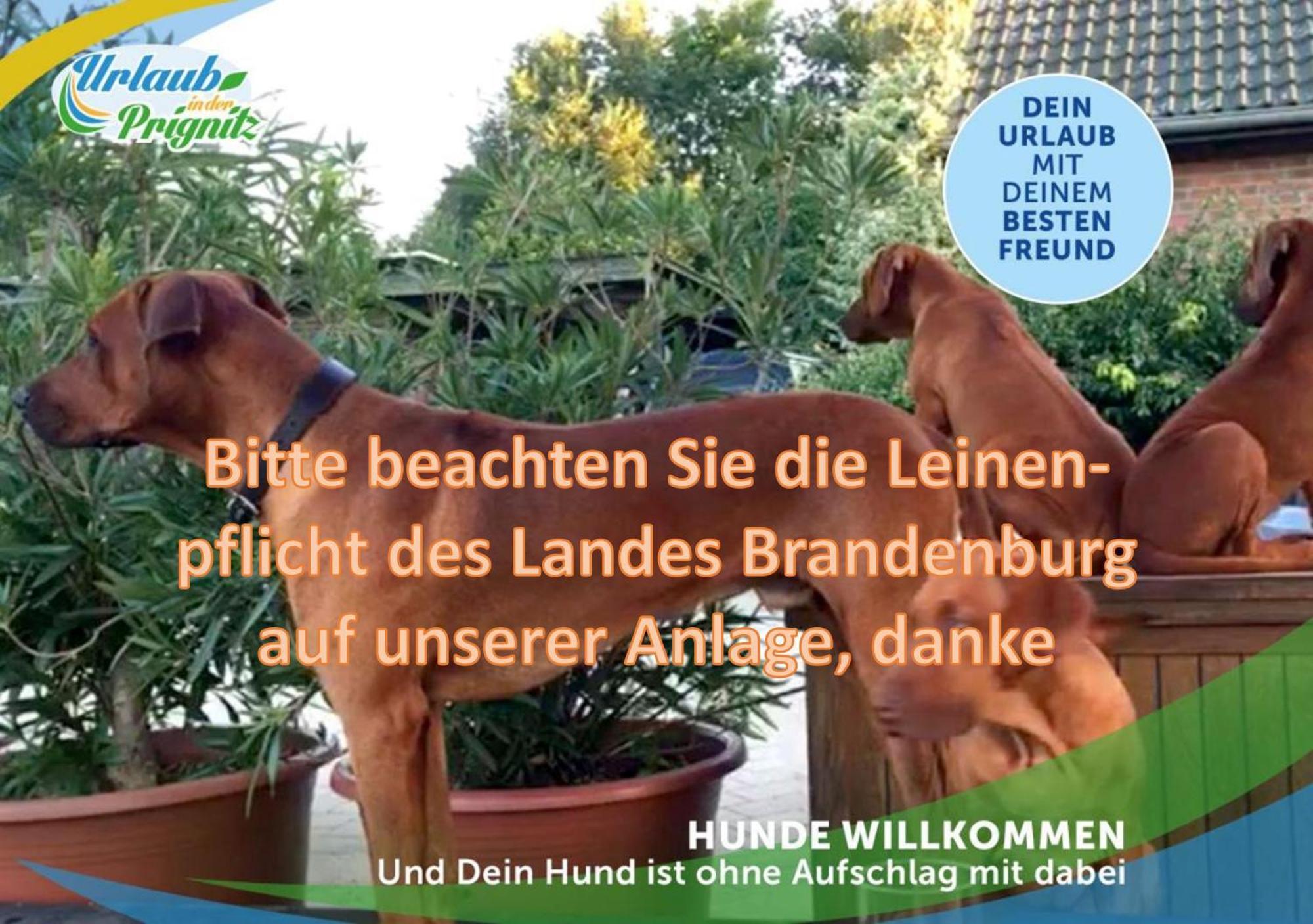 Jagd-Angler-Suite-03-Im-Wald-Am-See Kyritz Buitenkant foto